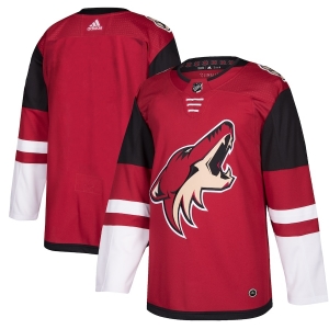 Men's Maroon Home Blank Team Jersey